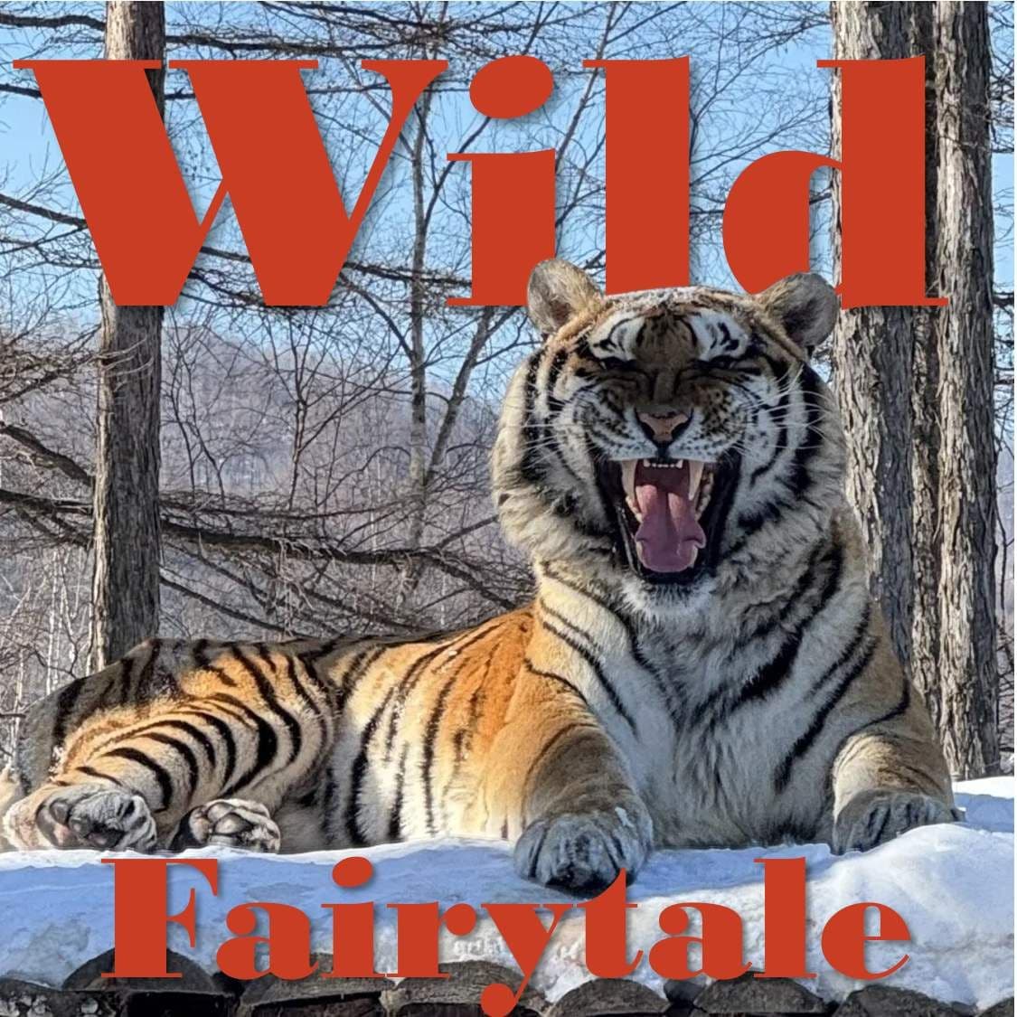 Get up close with Siberian tigers, wander around a Russian-style town, and experience a Northeast bar